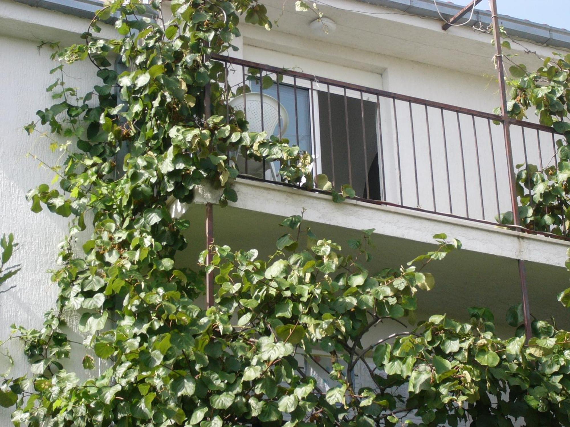 Apartments Prizmic Podstrana Eksteriør bilde